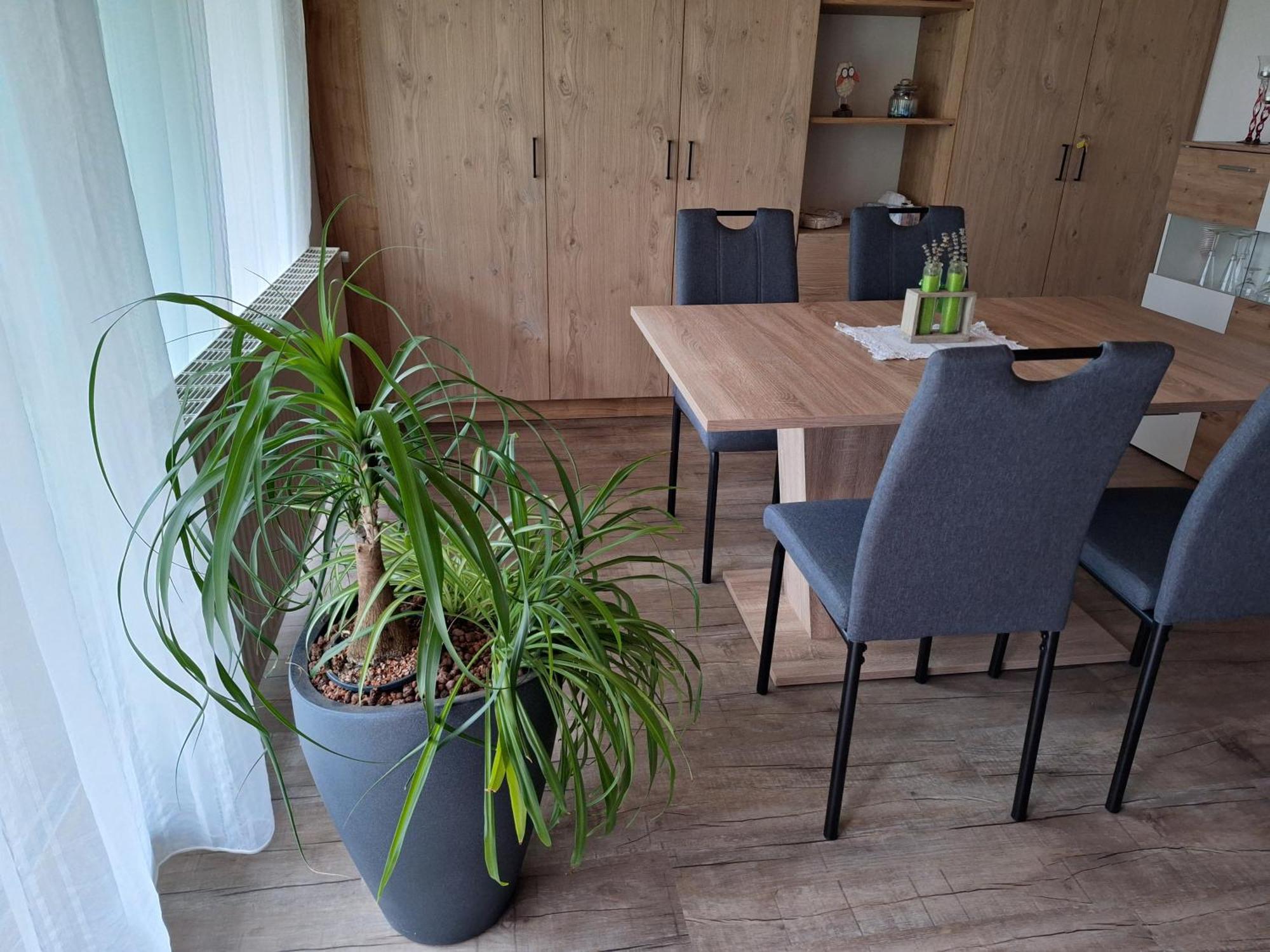 Apartment Eva Sautens Extérieur photo